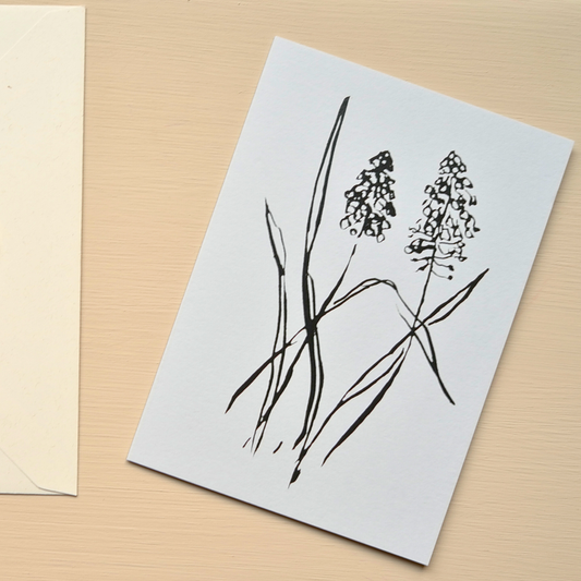 Botanical Greeting Card - Muscari - Atelier Auge